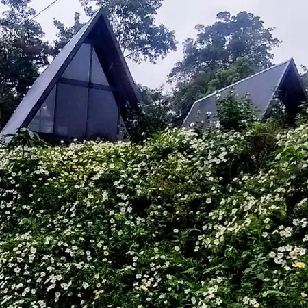 Yarumo Lodge, Rio Celeste Black Chalets Bijagua Exterior photo