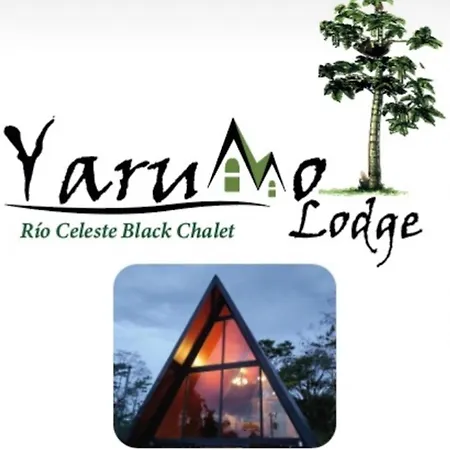 Yarumo Lodge, Rio Celeste Black Chalets Bijagua Exterior photo