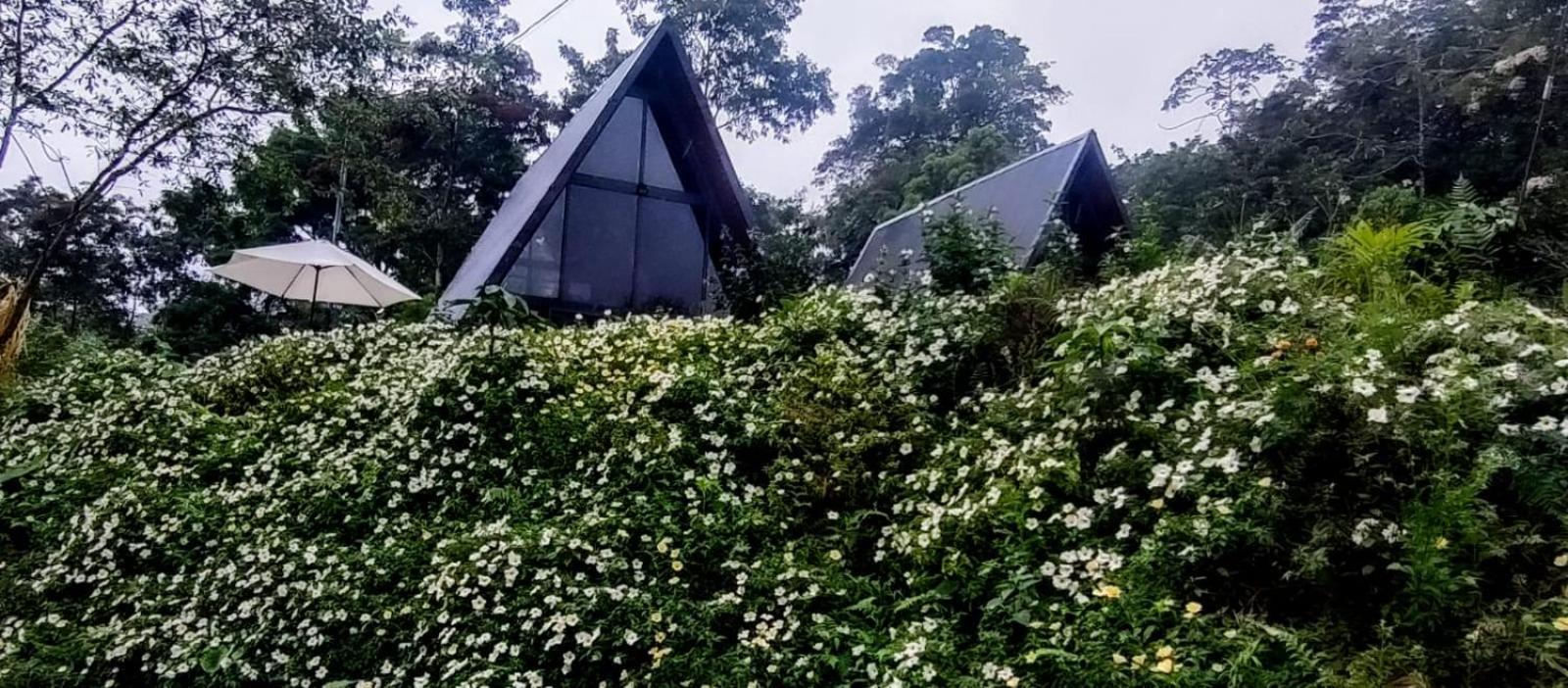 Yarumo Lodge, Rio Celeste Black Chalet *