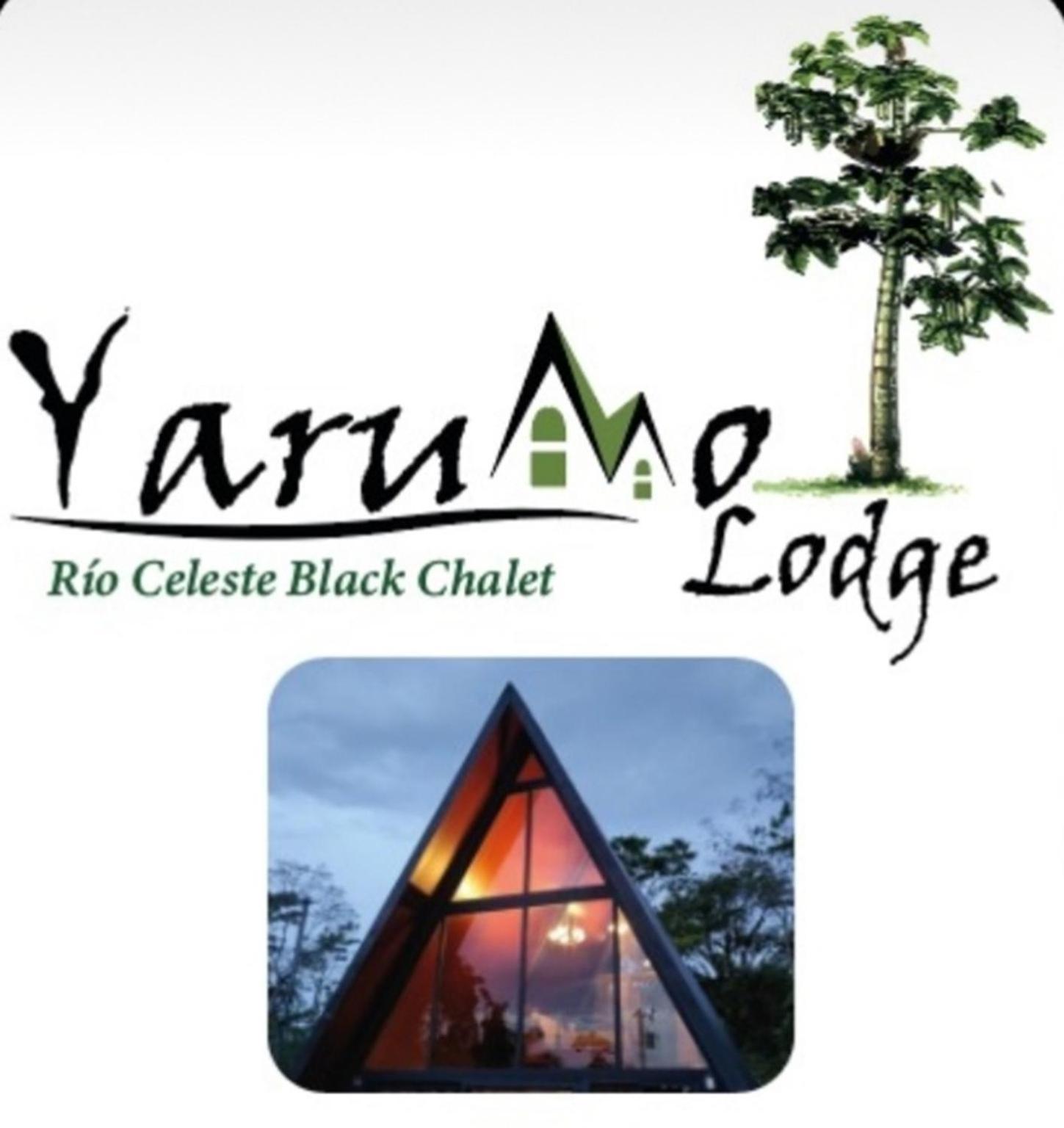 Yarumo Lodge, Rio Celeste Black * Bijagua