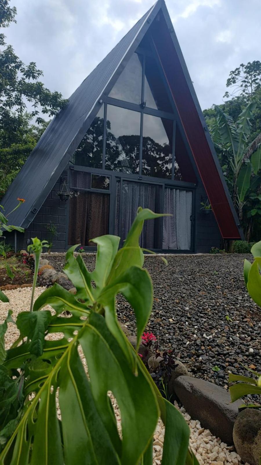 Yarumo Lodge, Rio Celeste Black * Bijagua