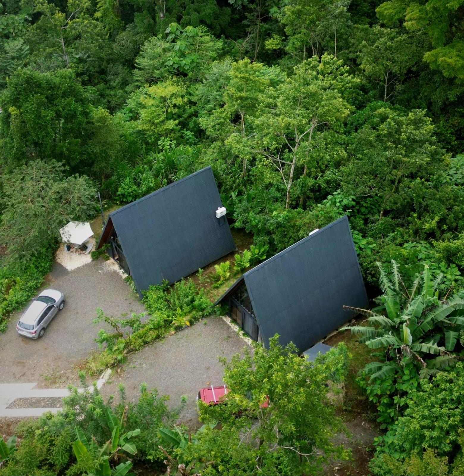 Yarumo Lodge, Rio Celeste Black Bijagua
